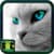 Free Cat Images