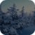 Snowy Trees Real Live Wallpaper