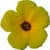 Flower Wallpaper HD v1