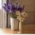 Lilac white flowers pot Wallpaper HD