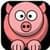 Teacup Pig