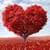 Valentines Day Live Wallpaper 3