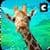 Giraffe Family Jungle Simulator