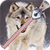 Wolf Zipper Lock Screen