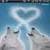 Icy Bear Love Animated