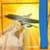 Airplane Photo Frames