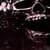 Skull Picture Wallpaper