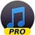 Simple Mp3 Music Downloader Pro