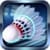 Badminton Sport Game