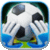 Euro Goalkeeper