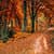 Autumn Wallpapers HD Backgrounds