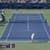 Animated Djokovic