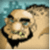 Kingdom Rush Ancient War