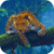 Leopard Attack Live Wallpaper