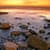 Rocky Shores Live