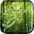 Frog Hello Friends Live WP