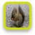 Cute Animal Mobile Phone