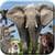 ABC Animals Zoo