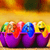 Tamago Easter Egg Pou 2