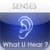 Senses - What U Hear?