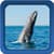 Whale Live Wallpapers