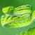 Exotic Snake Live Wallpaper