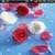 Red and White Roses