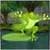 Jumping Frog