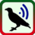  New Bird Sound Ringtones