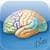 Netter's Neuroscience Flash Cards