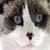 Cute White Cat Live Wallpaper