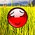 Red Ball  Adventure