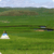 grassland
