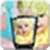 PIp BLEND MAKER APP
