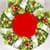 Xmas Wreath Photo Collage