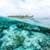 Underwater around the world 4K