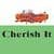 Young Adult EBook - Cherish It