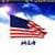 USA Flag Animating