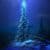 Christmas trees on a mountain Wallpaper HD