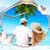 Beach Photo Frames