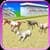 Real World Animal Racing