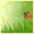 Pure Nature Live Wallpaper