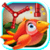 Bird Star Adventure