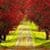 Red Foliage Trees Road Live Wallpaper
