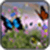 Butterfly Wallpaper Images