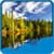 New Forest Live Wallpapers