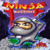 Ninja Warriors