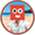 Square Face Photo Maker