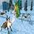 Ultimate Spider Simulator - RPG Game