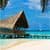 Summertime Live Wallpapers